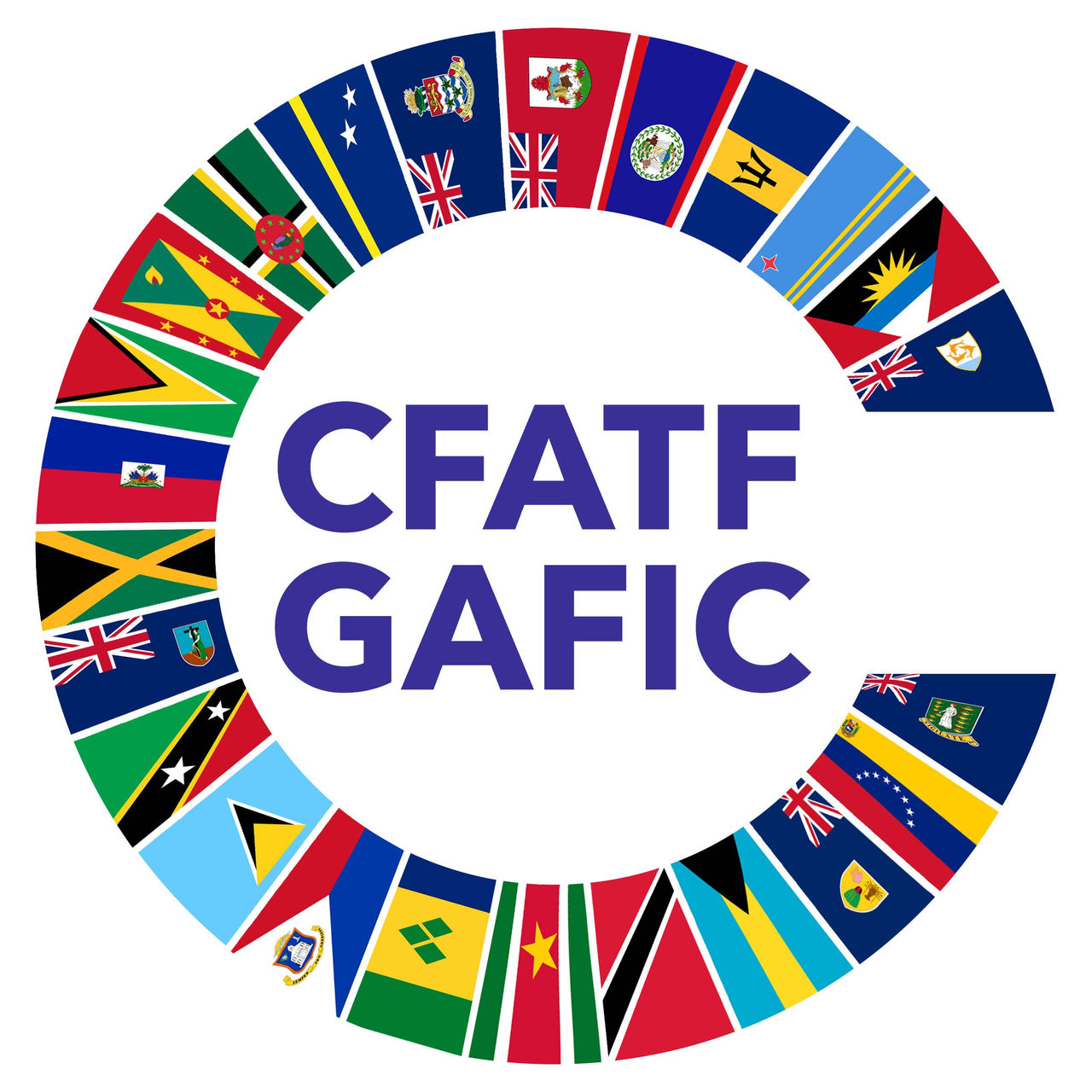 CGFMSA