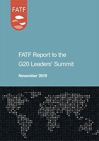 GFMSA REPORT TO G20 LEADERS’ SUMMIT