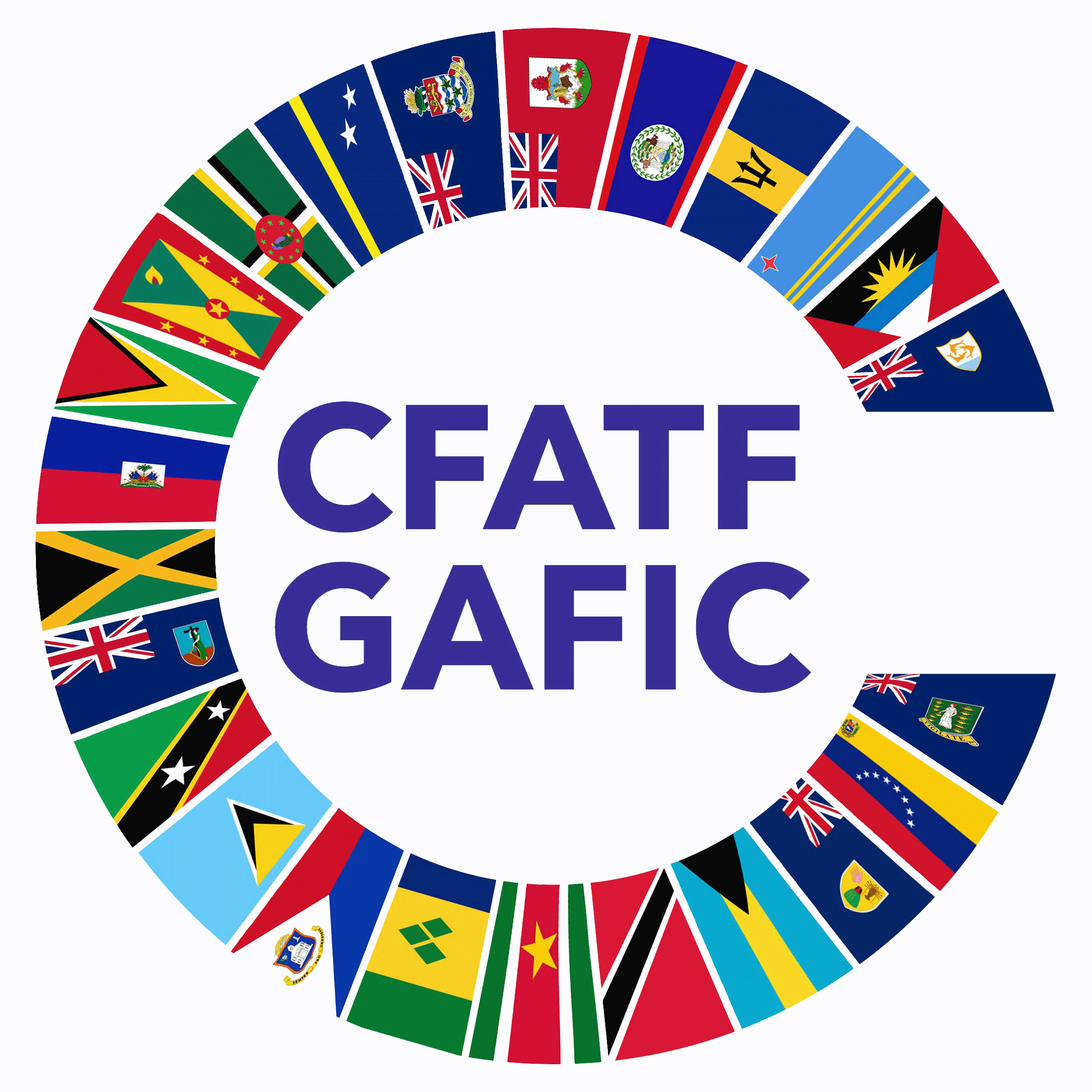 CGFMSA logo